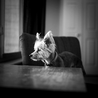 Bea Watching