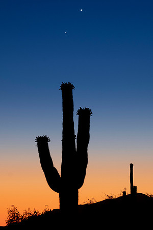 142 - Venus and Mercury