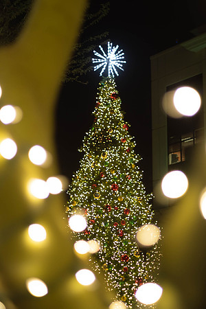 333 - Christmas Lights