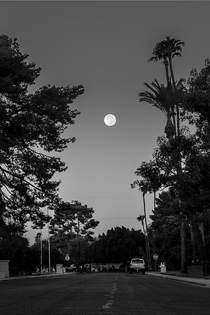 276 - Moon Street