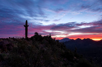 020 - Lone Mountain: Sunrise