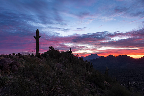 020 - Lone Mountain: Sunrise