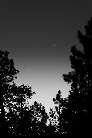 171 -  Venus and the Moon