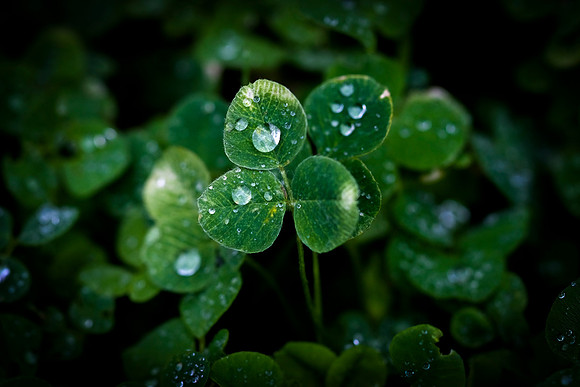 053 - Water drops