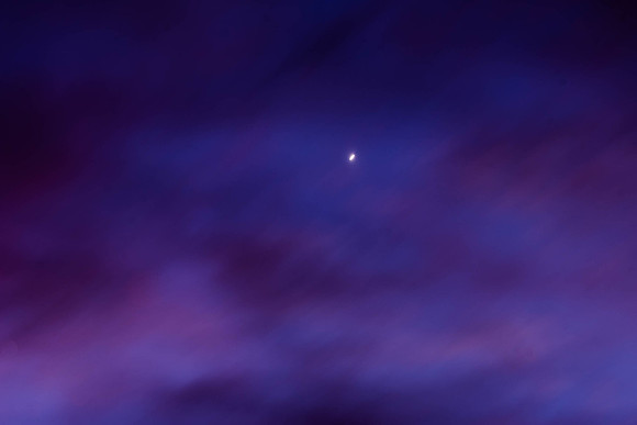 315 - Venus