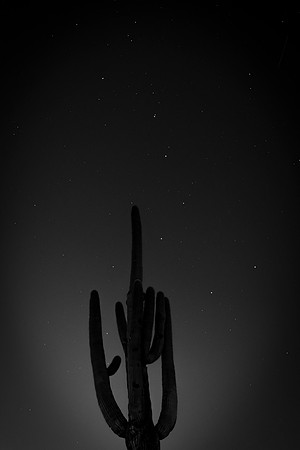 105 - Saguaro and Stars