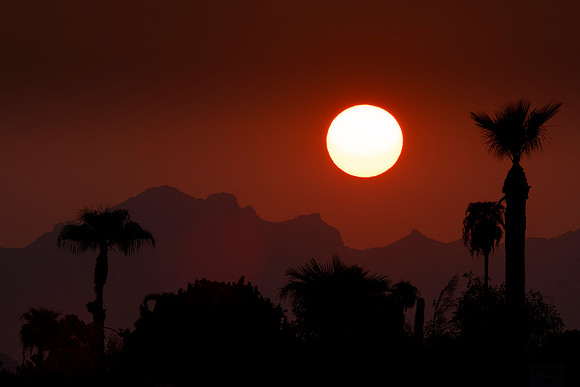 263 - Sunrise
