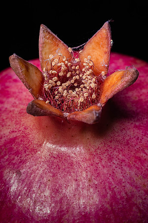 328 -  Pomegranate