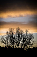 016 - Winter Layers