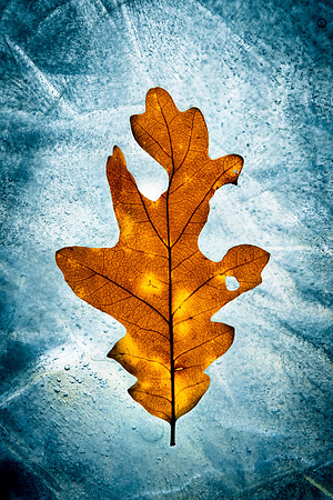 255 - On Ice 2