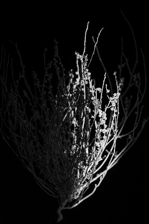 166 - Light and Shadow