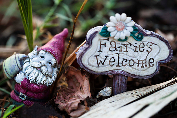204 - Fairies Welcome