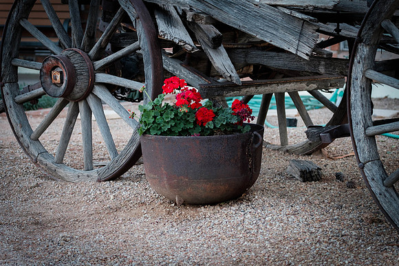 323 - Flower Pot