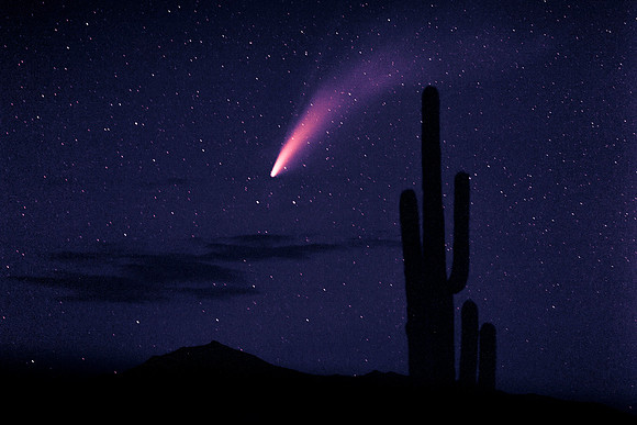 200 - Comet Neowsie and Saguaro