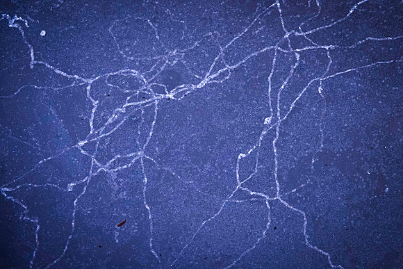 039 - Ice Trails