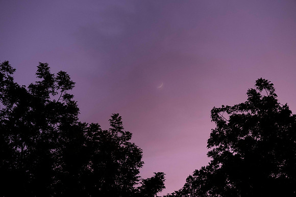 175 - Fuzzy Moon