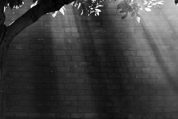 137 - Light and Darkness