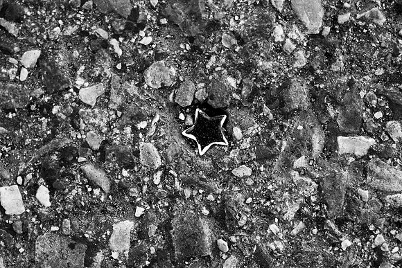 146 - Asphalt Star
