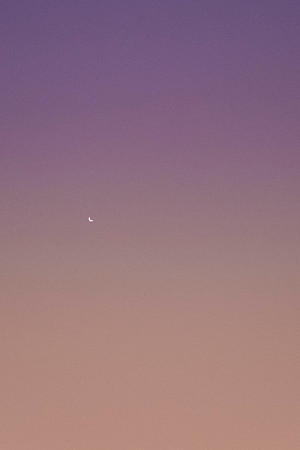 165 - Venus at Sunrise