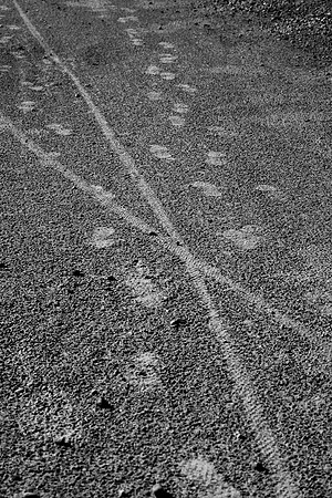 152 - Dirt Tracks