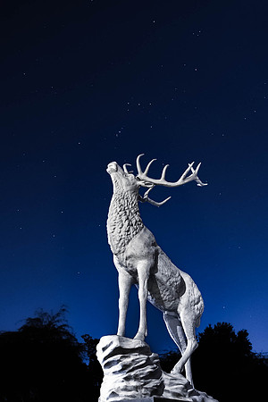 309 - Orion and Elk