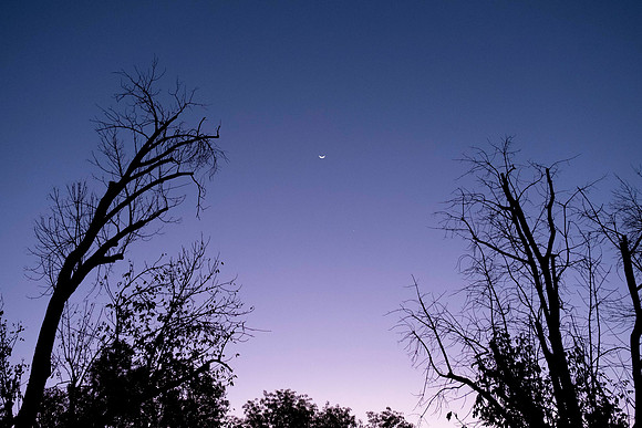 287 - Moon and Venus