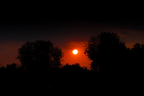 233 - Smokey Sunrise