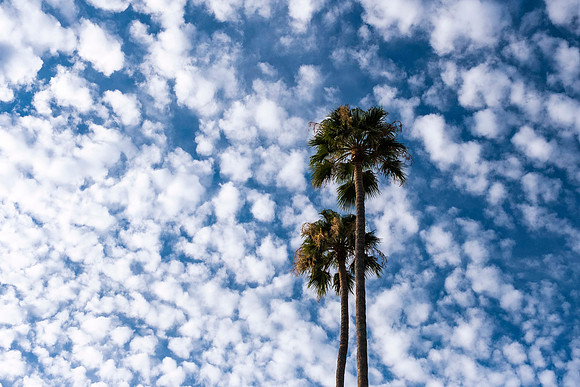 179 - Fluffy Clouds