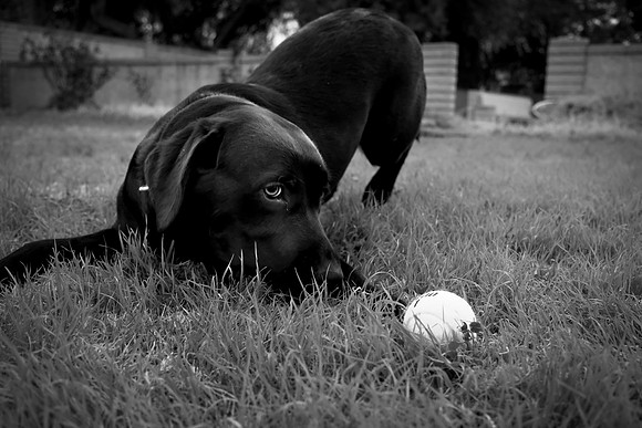 058 - Ready to Play