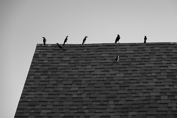 286 - The Gathering