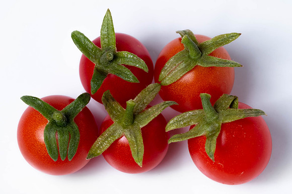 335 - Garden Harvest