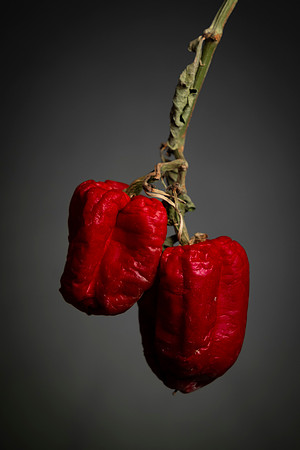 177 - Last Peppers