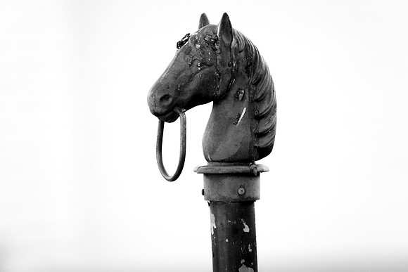 119 - Horse Head