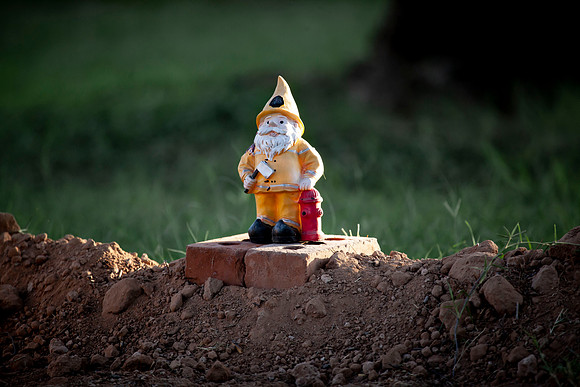 184 - Gnome
