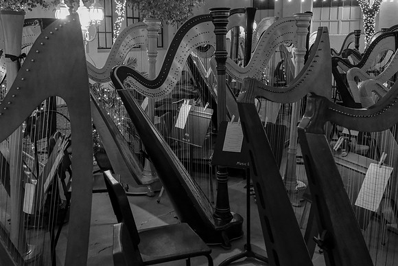 062 - Harps