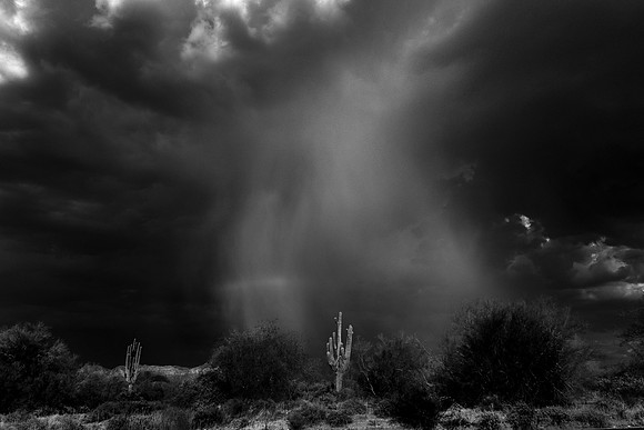206 - First Monsoon