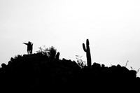 Giving the saguaro directions!