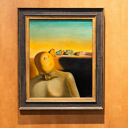 Dali museum