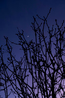 Project 365 - 2020