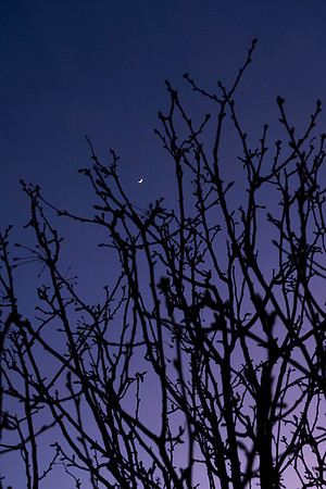 029 - Moon Grab