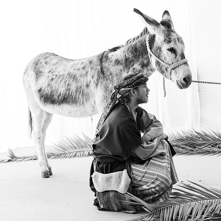 Daisy the Donkey and Aaron
